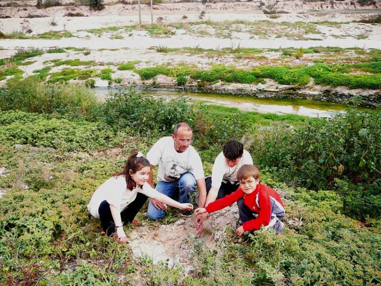 Los voluntarios de Acció Natura reforestan La Teulera
