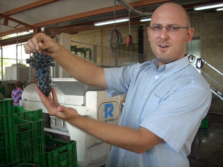 La Bodega noveldense  Heretat de Cesilia comienza la vendimia con unas perspectivas inmejorables