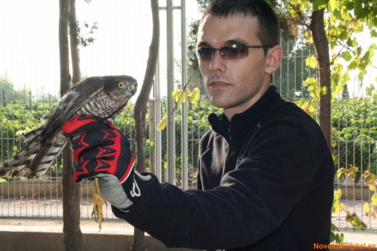 Día Mundial de las Aves en el Parque del Oeste