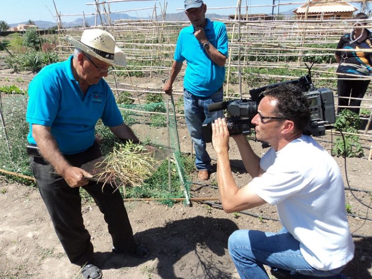 Canal 9 emite hoy un reportaje sobre los huertos ecológicos