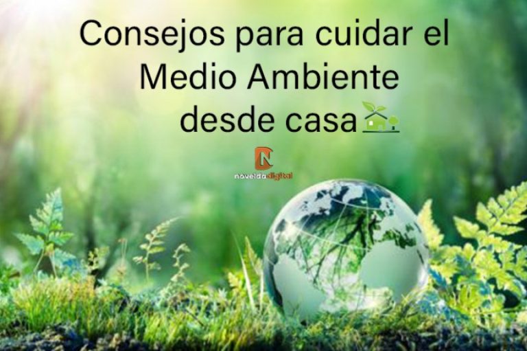 Cómo cuidar el medio ambiente desde casa