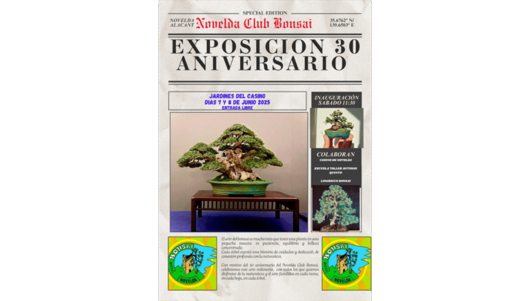 El Club Bonsái de Novelda celebra su 30.º aniversario con una exposición especial este fin de semana